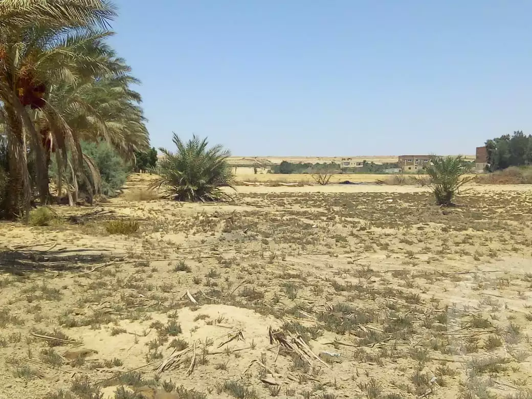 https://aqarmap.com.eg/en/listing/2160066-for-sale-el-fayoum-sinnuris-monshat-snours