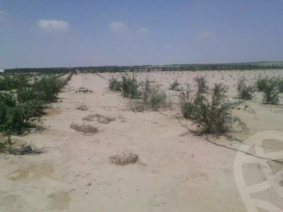 https://aqarmap.com.eg/en/listing/2499019-for-sale-land-or-farm-beheira