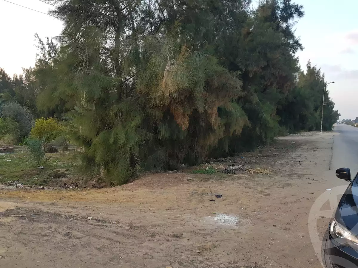 https://aqarmap.com.eg/ar/listing/2759550-for-sale-land-or-farm-ismailia