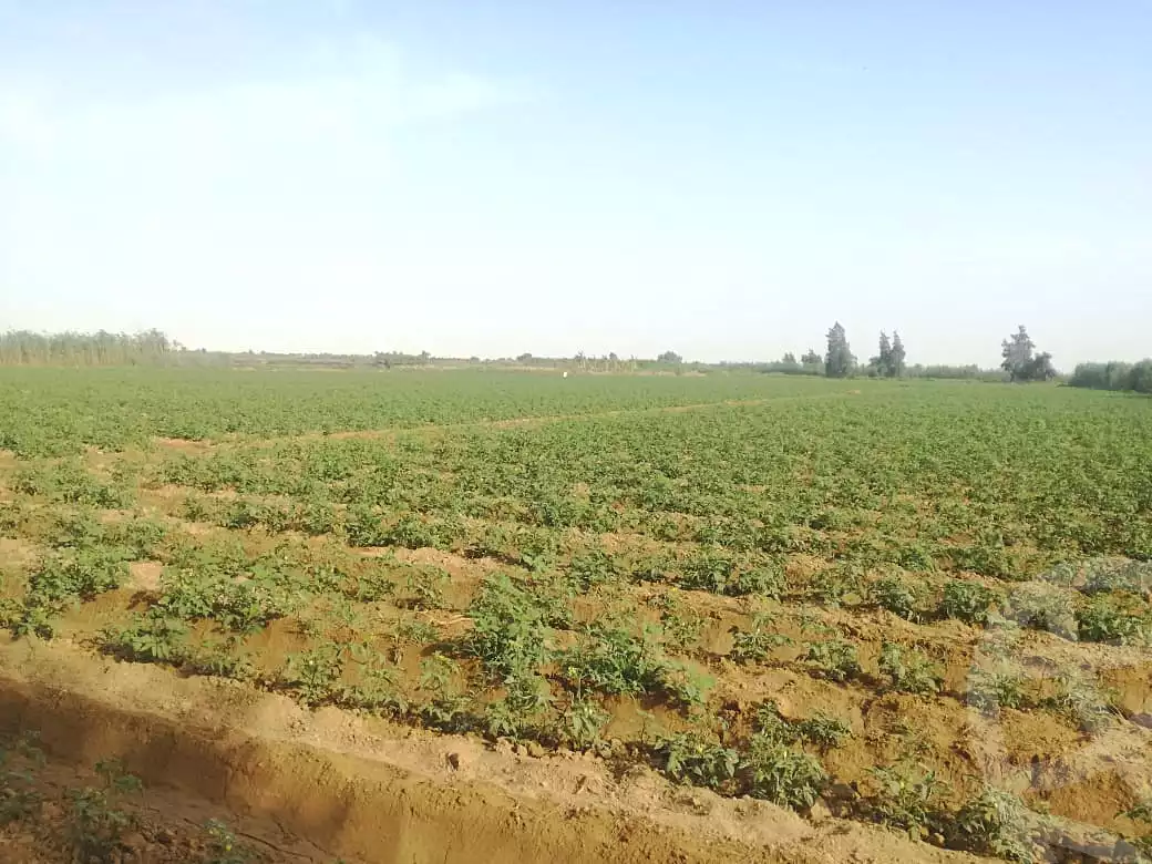 https://aqarmap.com.eg/ar/listing/2822600-for-sale-alexandria-borg-el-arab
