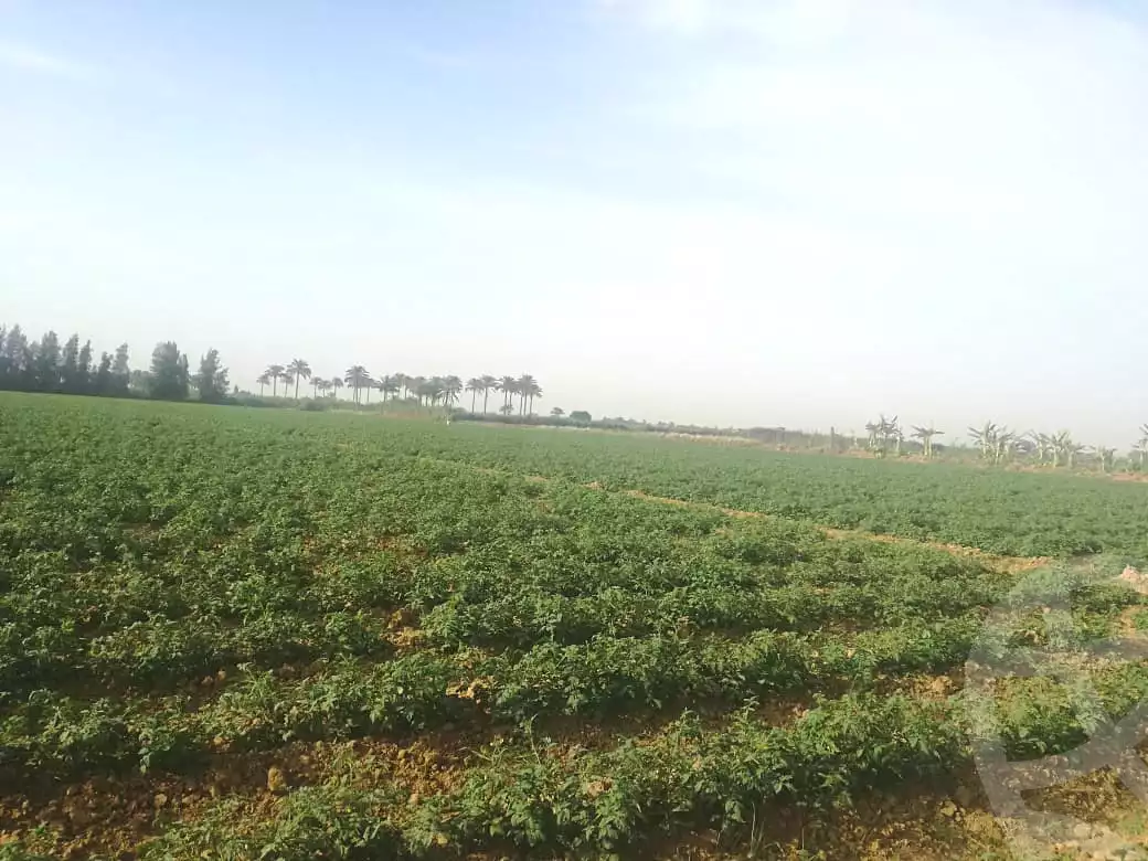 https://aqarmap.com.eg/ar/listing/2822600-for-sale-alexandria-borg-el-arab