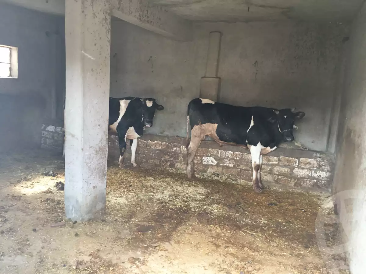 https://aqarmap.com.eg/ar/listing/4065096-for-sale-beheira-kafr-el-dawar-zahara