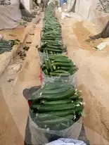 https://aqarmap.com.eg/ar/listing/2922050-for-sale-cairo-l-yt