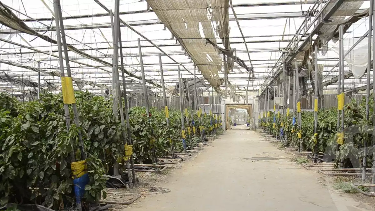 https://aqarmap.com.eg/en/listing/3836807-for-sale-ismailia-abu-sweer