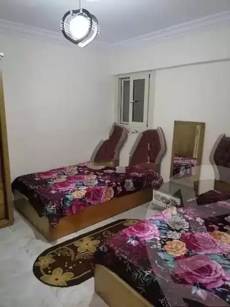 https://aqarmap.com.eg/en/listing/4278562-for-rent-alexandria-l-jmy-l-jmy-lbhry