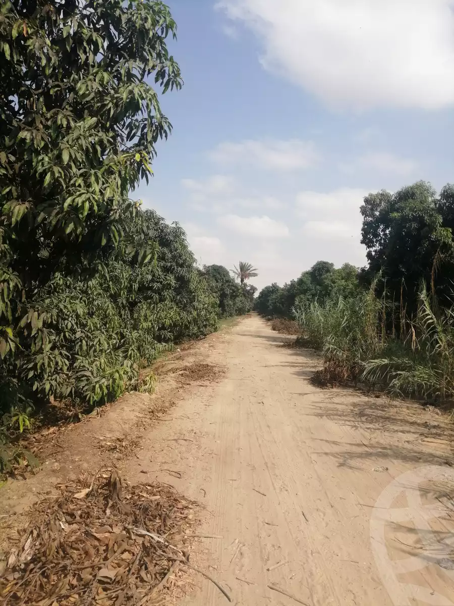 https://aqarmap.com.eg/en/listing/3871736-for-sale-ismailia-mntq-fr-y-blsm-yly