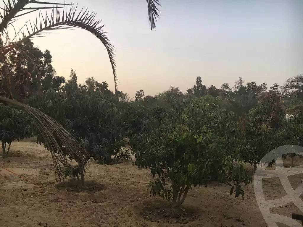 https://aqarmap.com.eg/ar/listing/3888045-for-sale-cairo-al-oubour-el-hay-el-sabaa