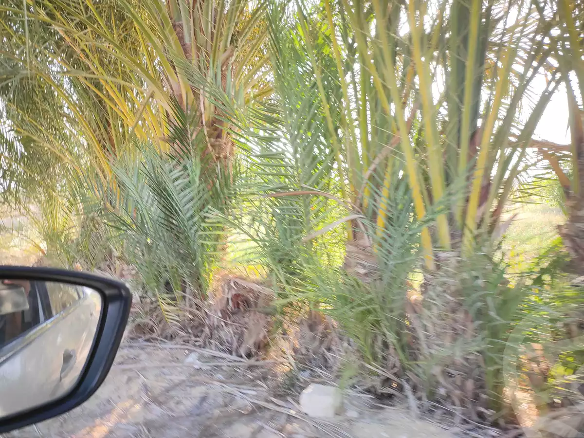 https://aqarmap.com.eg/ar/listing/4293224-for-sale-el-fayoum-yousef-el-sedeeq-yousef-el-sedeeq-city