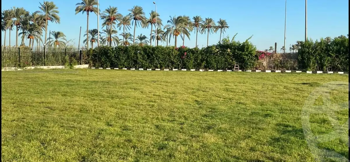 https://aqarmap.com.eg/ar/listing/3626953-for-sale-alexandria-ltryq-ldwly-mhwr-lt-myr