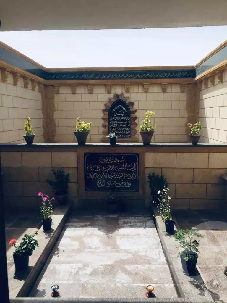https://aqarmap.com.eg/ar/listing/3644944-for-sale-cairo-new-cairo-mohammed-nagib-axis-st
