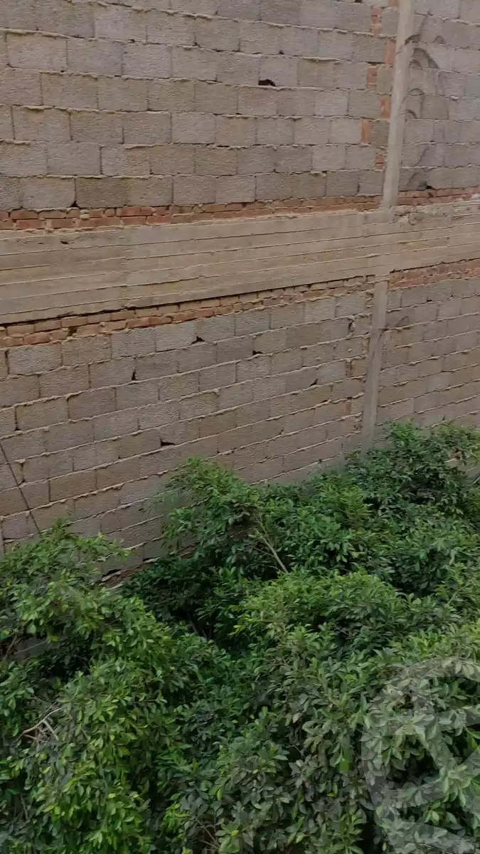 https://aqarmap.com.eg/ar/listing/3648957-for-sale-alexandria-el-hanouvel-mohammed-metwally-el-shaarawy-st