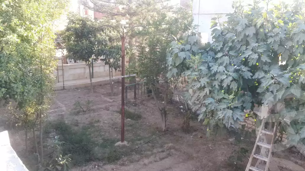 https://aqarmap.com.eg/ar/listing/3768916-for-sale-alexandria-brj-l-rb-ljdyd-lhy-lkhms