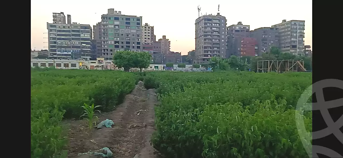 https://aqarmap.com.eg/en/listing/4203319-for-sale-cairo-ljyz-el-bahr-el-azam
