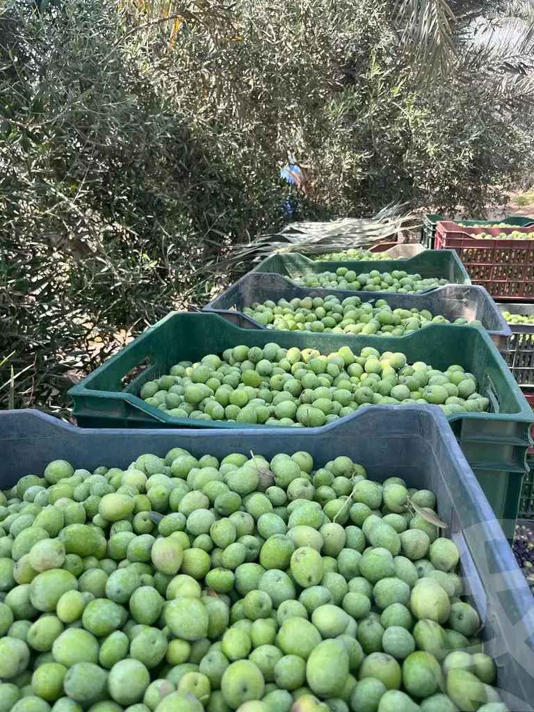 https://aqarmap.com.eg/ar/listing/3828548-for-sale-cairo-tryq-skndry-lzr-y
