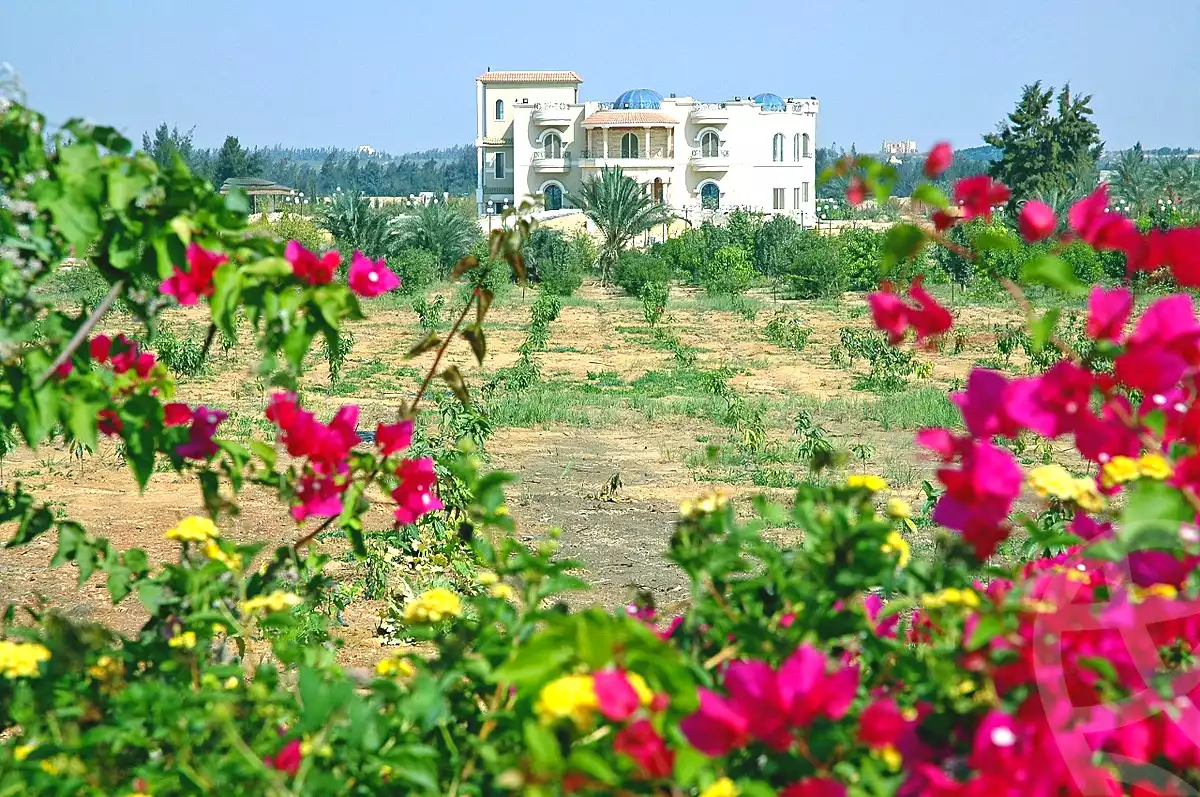 https://aqarmap.com.eg/ar/listing/3829917-for-sale-cairo-alex-cairo-desert-road-mdyn-sfnks-ljdyd