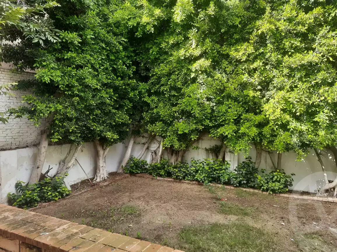 https://aqarmap.com.eg/en/listing/3855029-for-rent-alexandria-l-jmy-bw-ywsf