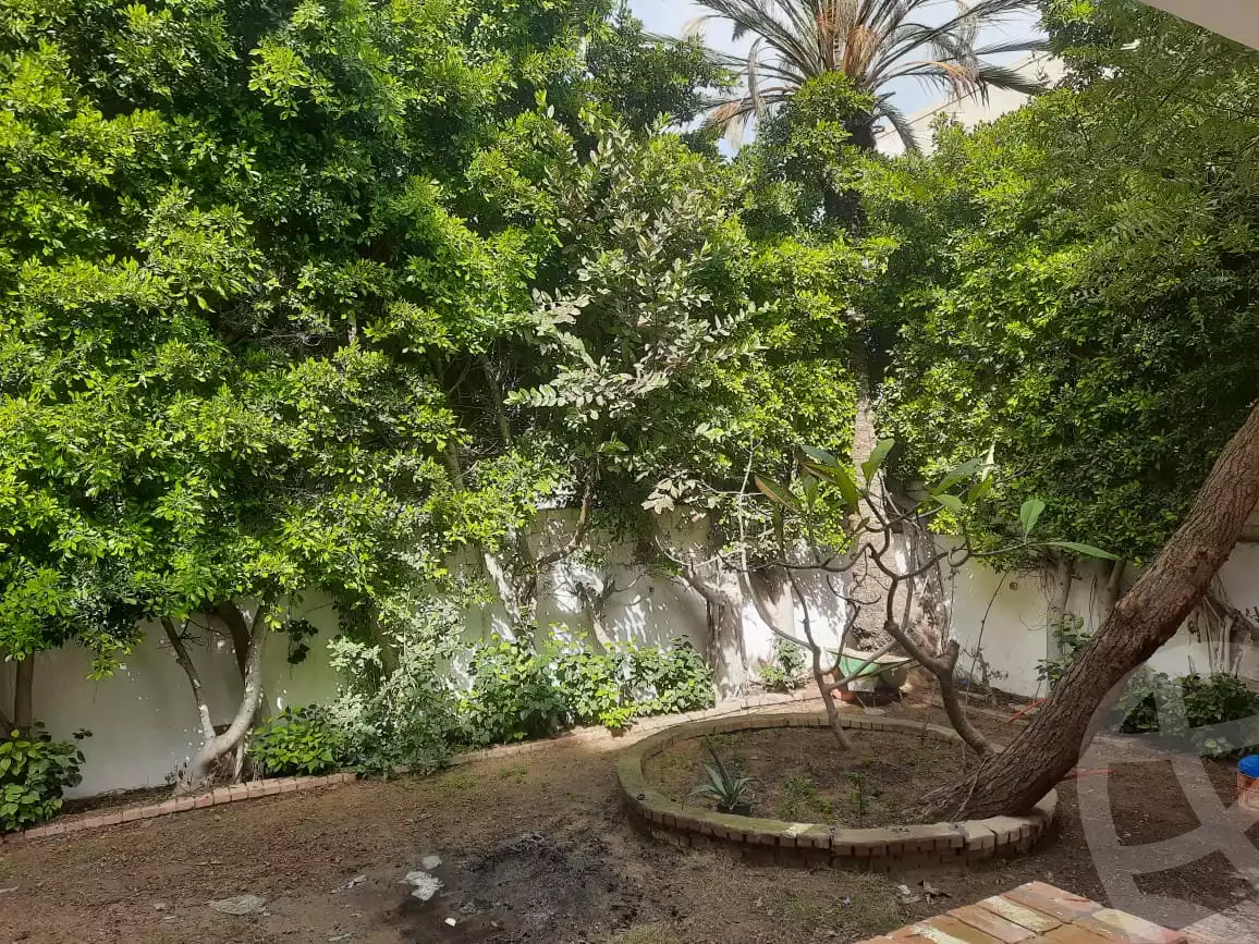 https://aqarmap.com.eg/en/listing/3855029-for-rent-alexandria-l-jmy-bw-ywsf