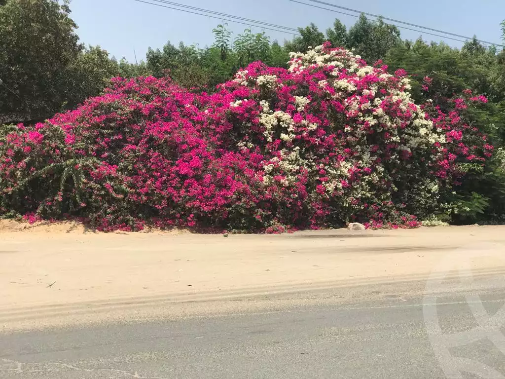 https://aqarmap.com.eg/ar/listing/3862589-for-sale-cairo-other-neighborhoods-in-greater-cairo