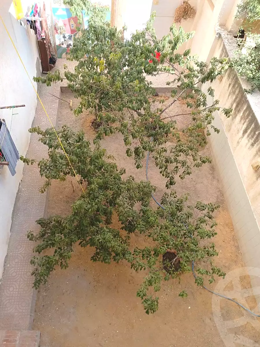 https://aqarmap.com.eg/ar/listing/4306852-for-sale-alexandria-l-jmy-bw-ywsf