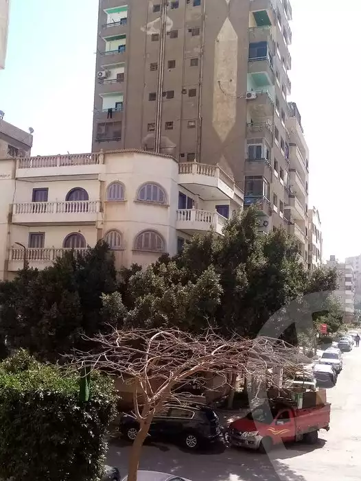 https://aqarmap.com.eg/ar/listing/3882067-for-rent-cairo-nasr-city-10th-zone-nagy-nasr-st