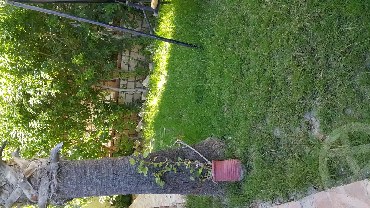 https://aqarmap.com.eg/en/listing/3983088-for-sale-alexandria-l-jmy-bw-ywsf