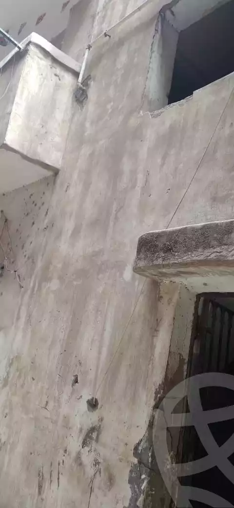 https://aqarmap.com.eg/en/listing/3998597-for-sale-dakahlia-mansoura-zb-lshl-el-gaish-st