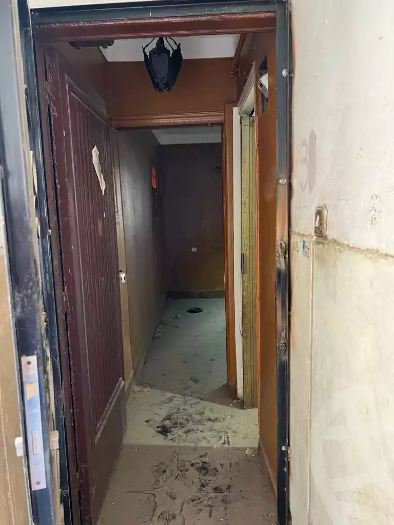 https://aqarmap.com.eg/en/listing/5301713-for-rent-cairo-dokki