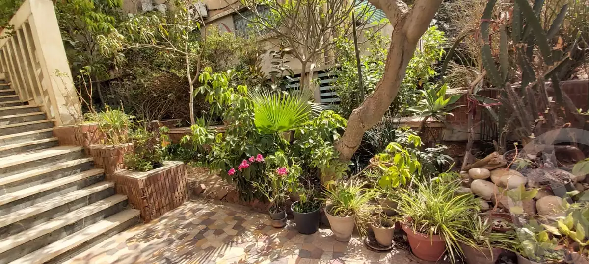 https://aqarmap.com.eg/ar/listing/4031984-for-sale-cairo-heliopolis-el-marghany-el-sayed-el-merghany-st