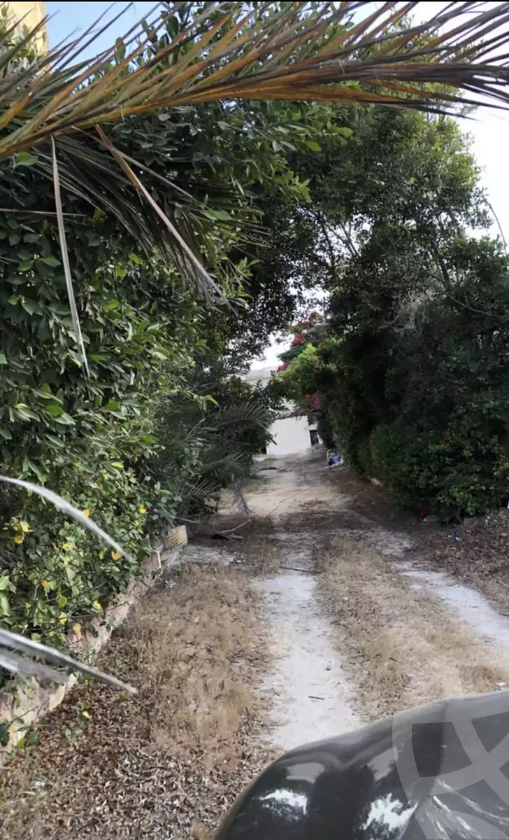 https://aqarmap.com.eg/en/listing/5030362-for-rent-alexandria-sidi-kirayr-qry-sydy-kryr-lqwt-ljwy