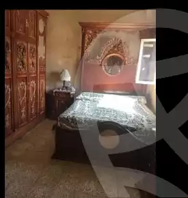 https://aqarmap.com.eg/ar/listing/4052439-for-sale-monufia-quweisna-ebnhes