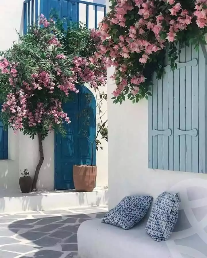 https://aqarmap.com.eg/en/listing/4055773-for-sale-north-coast-resorts-mwntn-fyw-rs-lhkm