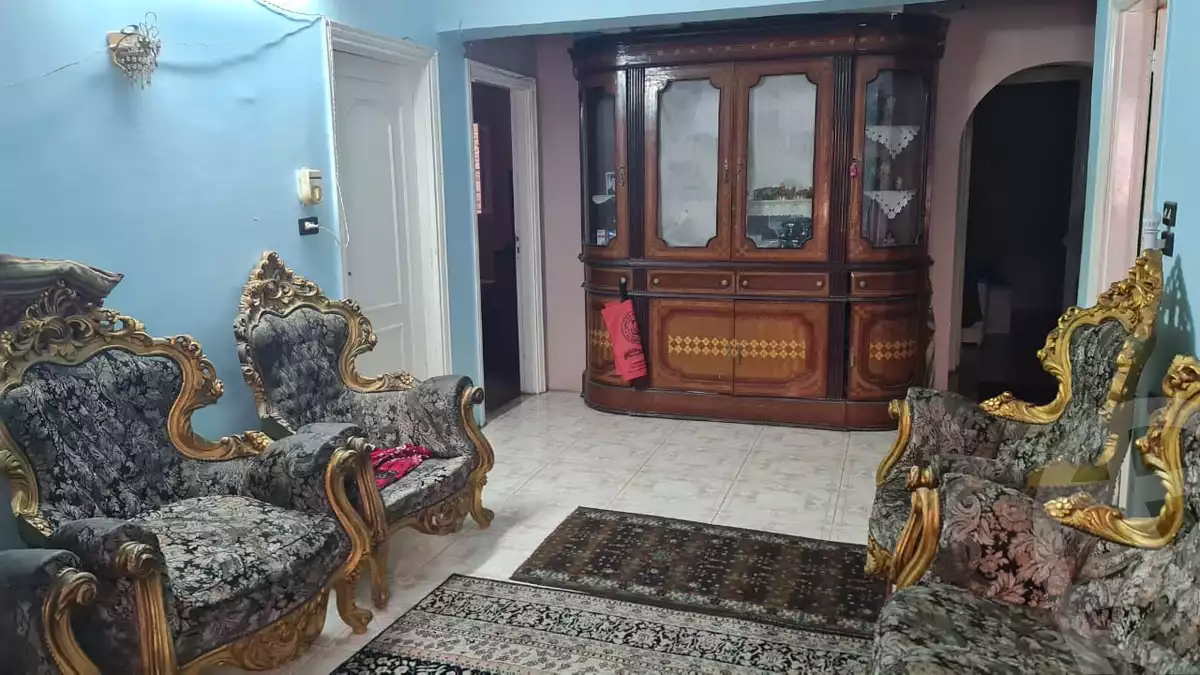 https://aqarmap.com.eg/en/listing/4541658-for-sale-gharbia-tanta-tanta-city-saeed-st