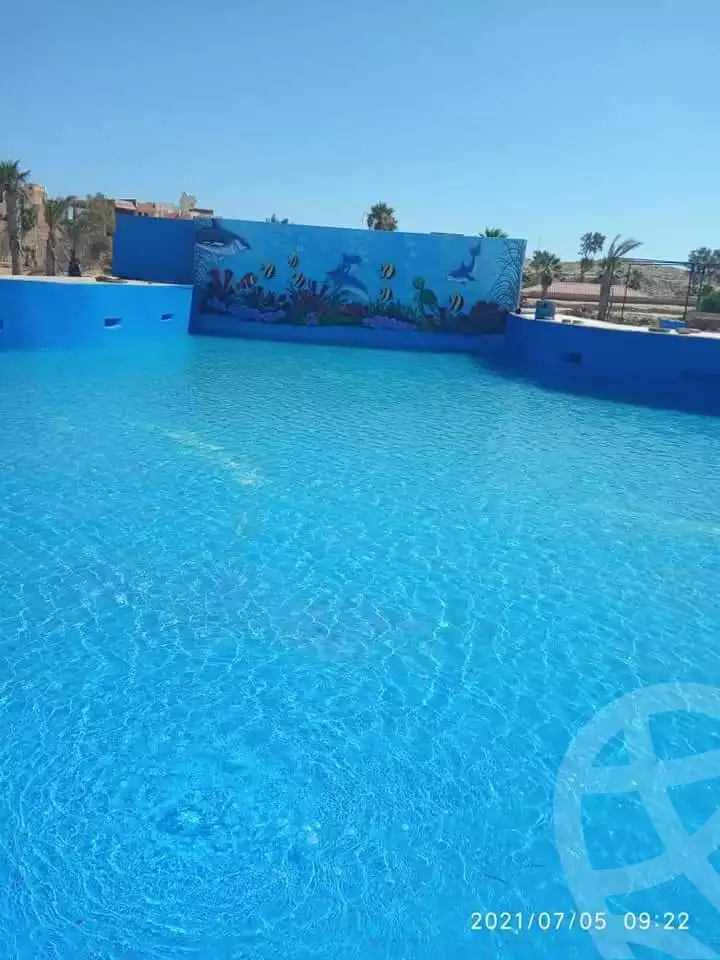 https://aqarmap.com.eg/en/listing/4115047-for-rent-marsa-matruh-marsa-matrouh-city