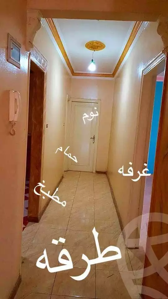 https://aqarmap.com.eg/en/listing/4116428-for-rent-qalyubia-banha-city-banha-city