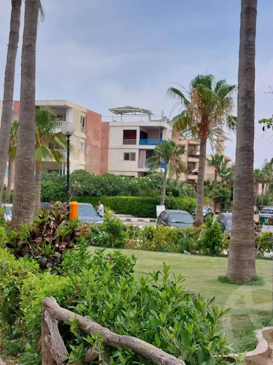 https://aqarmap.com.eg/en/listing/4116747-for-rent-alexandria-lm-mwr-lm-mwr-lshty-kornesh-el-maamoura-st