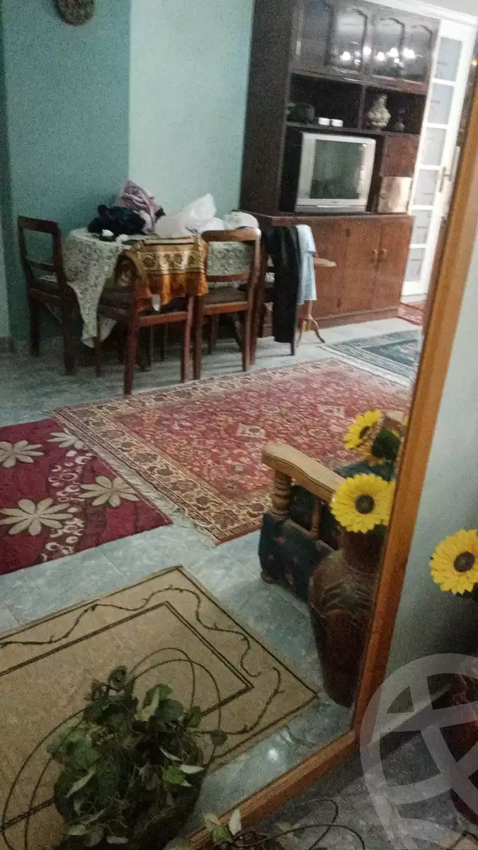 https://aqarmap.com.eg/en/listing/4098028-for-rent-cairo-heliopolis-sheraton