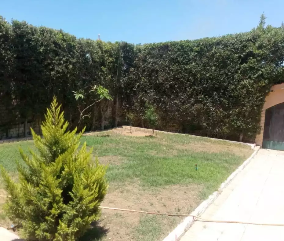 https://aqarmap.com.eg/ar/listing/4131240-for-rent-alexandria-king-maryot-taqseem-icl
