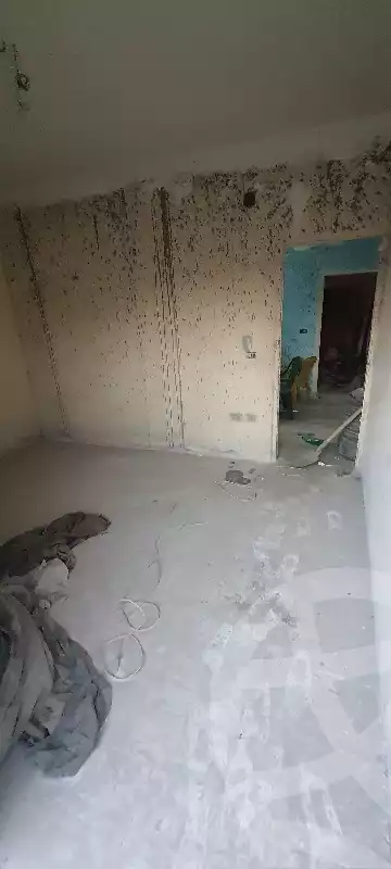 https://aqarmap.com.eg/en/listing/4135042-for-sale-hassanein-desoky-st