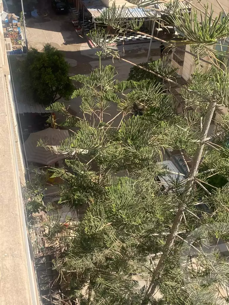 https://aqarmap.com.eg/en/listing/4139802-for-sale-alexandria-l-jmy-shataa-el-nakheel-street-61