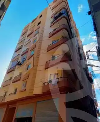 https://aqarmap.com.eg/ar/listing/4167123-for-sale-monufia-shibin-el-kom-estbary
