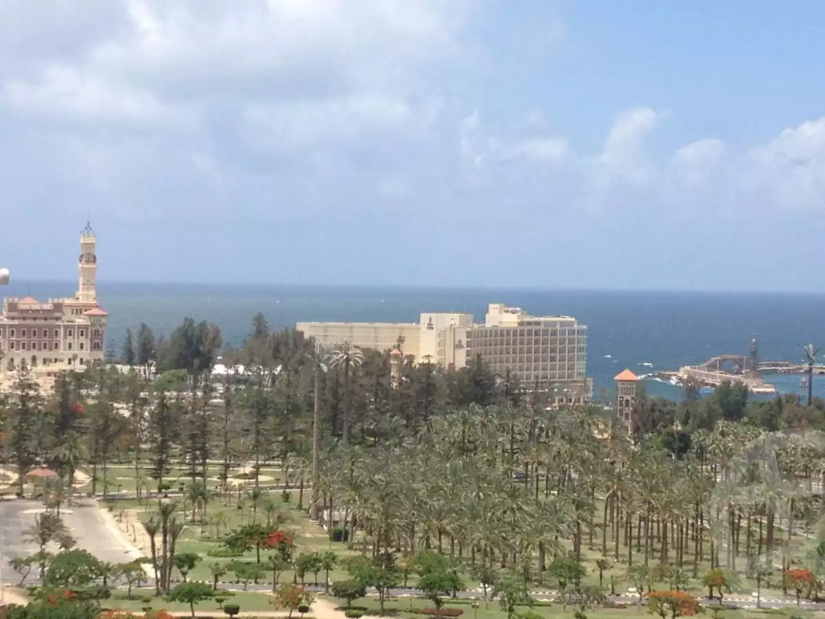 https://aqarmap.com.eg/en/listing/4169637-for-sale-alexandria-el-mandara-branched-from-malak-hifni-4-st