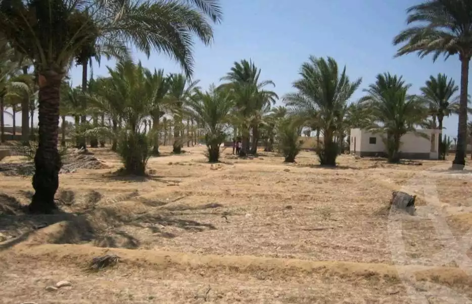 https://aqarmap.com.eg/ar/listing/4168465-for-sale-alexandria-marsa-matrouh-rd
