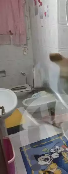 https://aqarmap.com.eg/en/listing/4172600-for-sale-cairo-al-zamalek-shr-hmd-hshmt