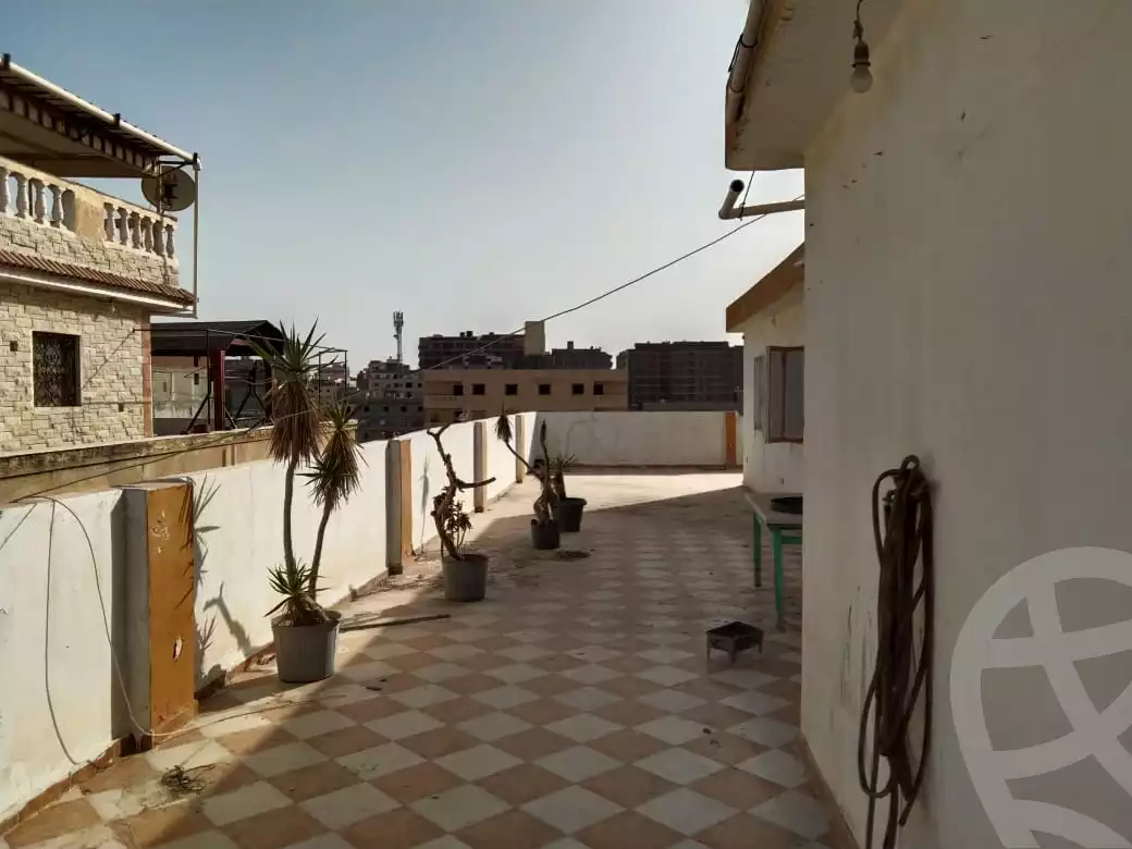 https://aqarmap.com.eg/en/listing/4174393-for-sale-alexandria-l-jmy-bw-ywsf