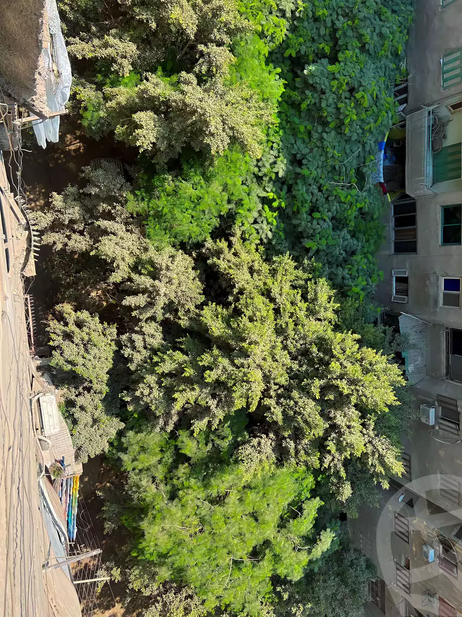 https://aqarmap.com.eg/en/listing/4176452-for-sale-cairo-el-maadi-daeaary-el-maadi