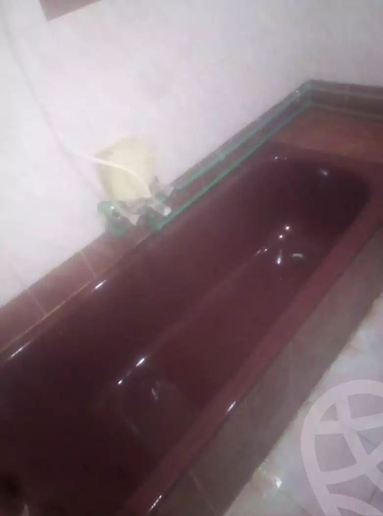 https://aqarmap.com.eg/en/listing/4187694-for-rent-hassanein-desoky-st