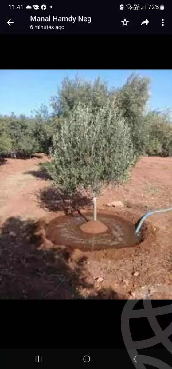 https://aqarmap.com.eg/ar/listing/4201944-for-sale-north-coast-new-alamein-lhy-lltyny-lshrk-ls-wdy-lmsry-llt-myr