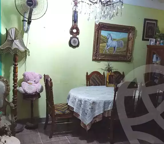 https://aqarmap.com.eg/en/listing/4212326-for-sale-alexandria-el-mandara-al-mahdaoi-st