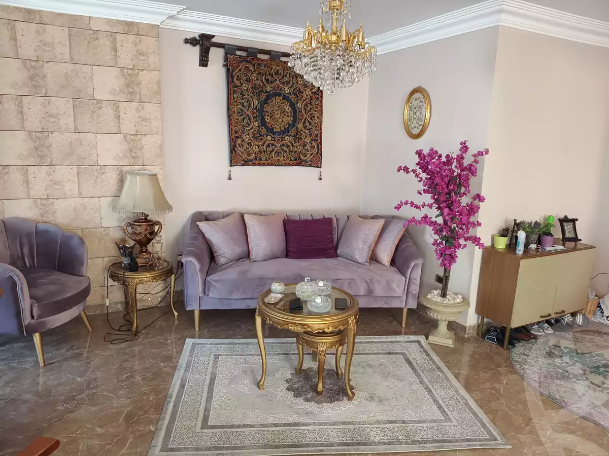 https://aqarmap.com.eg/en/listing/4217072-for-sale-cairo-nasr-city-el-hay-el-sabea-shr-mwsy-bn-nsr