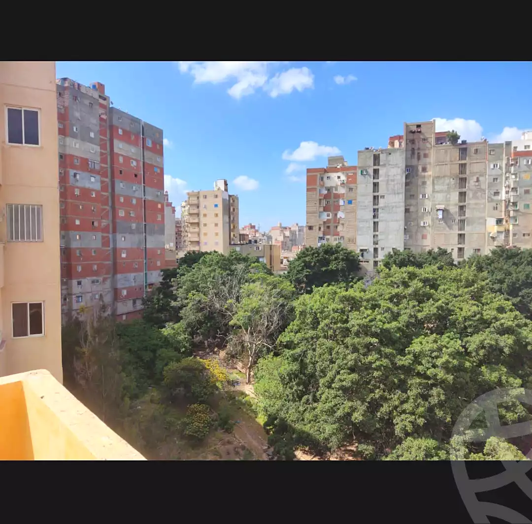 https://aqarmap.com.eg/en/listing/4226455-for-sale-alexandria-shds